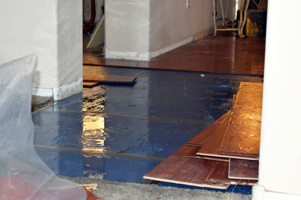 Professional Basement Flood Cleanup technician working in Harrisonville, MO